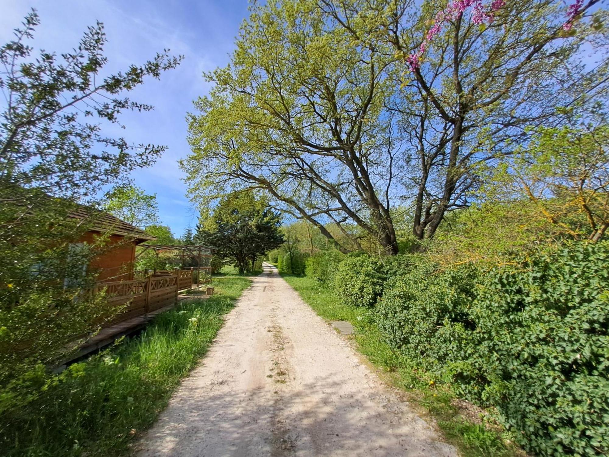 Villa Aix-En-Provence Ngoại thất bức ảnh